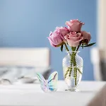 Otel Dyvig 5*